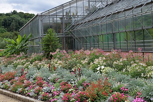 Tropengewächshäuser des Botanischen Gartens Jean-Marie Pelt, Villers-lès-Nancy, Grand Est — Villers-lès-Nancy, serres du jardin botanique Jean-Marie Pelt