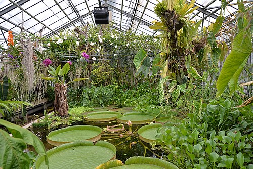 Tropengewächshäuser des Botanischen Gartens Jean-Marie Pelt, Villers-lès-Nancy, Grand Est — Tropengewächshäuser des Botanischen Gartens Jean-Marie Pelt — Ansicht 3