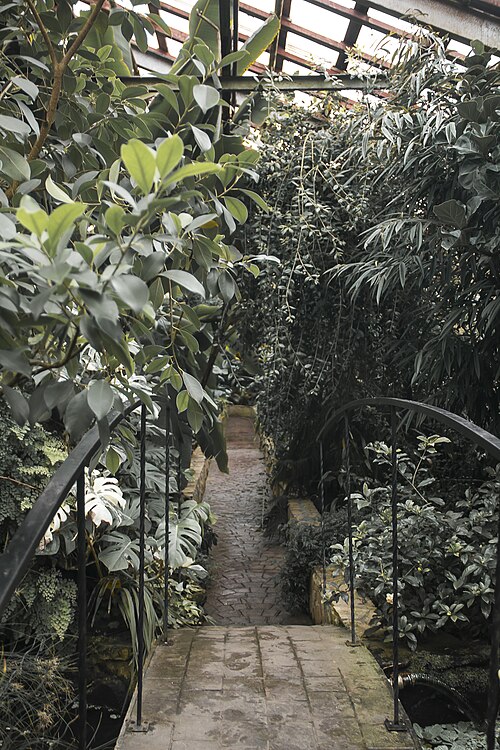 Orangerie des Botanischen Garten-Instituts der Fernöstlichen Abteilung der Russischen Akademie der Wissenschaften (Oranzhereya BSI DVO RAN), Wladiwostok, Region Primorje — Orangerie des Botanischen Garten-Instituts der Fernöstlichen Abteilung der Russischen…