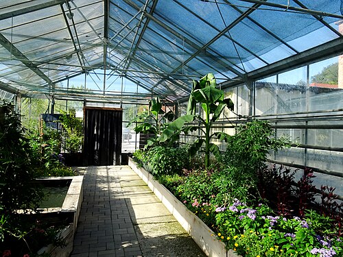 Steklenjak (Ausstellungsgewächshäuser), Arboretum Volčji Potok, Volčji Potok (Radomlje), Gemeinde Kamnik — Kamnik, Slovenia. Volčji Potok Arboretum.