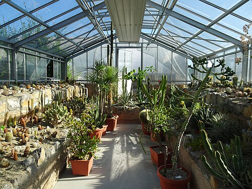Steklenjak (Ausstellungsgewächshäuser), Arboretum Volčji Potok, Volčji Potok (Radomlje), Gemeinde Kamnik — Steklenjak (Ausstellungsgewächshäuser), Arboretum Volčji Potok — Ansicht 2