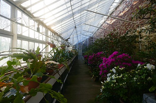 Lyman Estate Greenhouses (The Vale), Waltham, Massachusetts — Greenhouse, Lyman Estate, Waltham, Massachusetts
