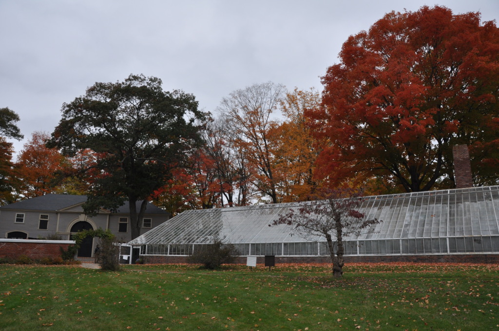 Lyman Estate Greenhouses (The Vale), Waltham, Massachusetts — The Vale , aka the Lyman Estate, Waltham, Massachusetts.