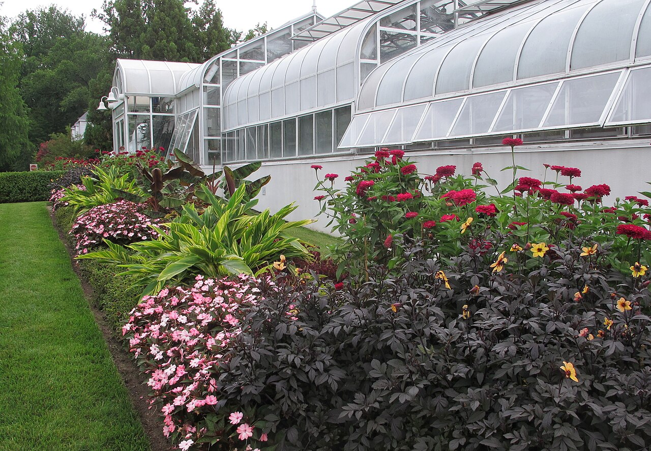 Hillwood Greenhouse (Hillwood Estate, Museum & Gardens), Washington, D.C. — Outside the greenhouse. Credit Hillwood Museum and Gardens and link to this page: <a…