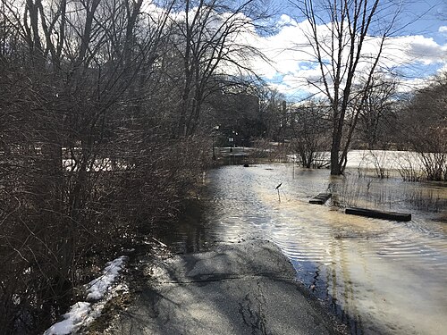 Global Flora Conservatory (Margaret C. Ferguson Greenhouses, Wellesley College), Wellesley, Massachusetts — Flooded walkway, Wellesley College, Wellesley Massachusetts
