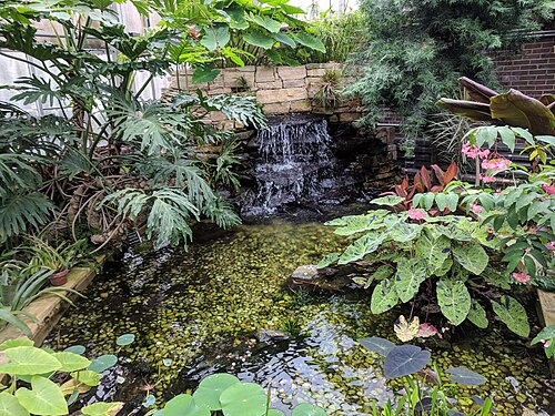 Brookside Gardens Conservatory, Wheaton, Maryland — Brookside Gardens Conservatory at the Brookside Gardens in Wheaton, Maryland.