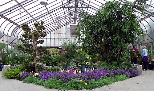 Brookside Gardens Conservatory, Wheaton, Maryland — Brookside Gardens Conservatory — Ansicht 4