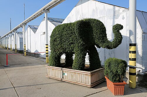 Palmenhaus des Blumengärten Hirschstetten, Vienne, Donaustadt (22e arrondissement) — Blumengärten Hirschstetten in Vienna , Austria .
