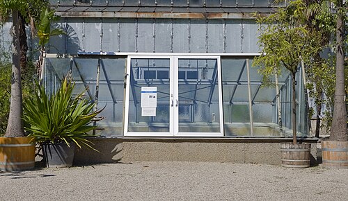 Tropenhaus und Gewächshäuser des Botanischen Gartens der Universität Wien, Wien, Landstraße (3. Bezirk) — The „Victoriabecken“ ( Victoria pool ) in the Botanical Garden of the University of…