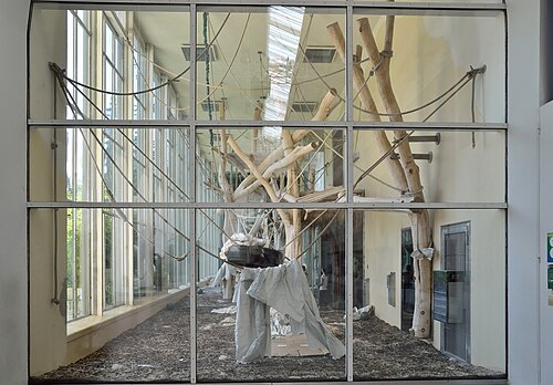 Altes Palmenhaus (ORANG.erie), Tiergarten Schönbrunn, Wien, Hietzing (Schlosspark Schönbrunn) — photo 1