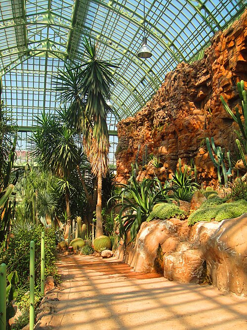 シェーンブルンの砂漠館（ヴュステンハウス、旧日時計の家）, ウィーン、シェーンブルン宮殿公園 — Desert room