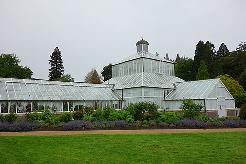 ウィンターガーデン・グラスハウス, オタゴ地方ダニーデン、ダニーデン植物園 — Winter Garden Glasshouse, Dunedin, New Zealand.