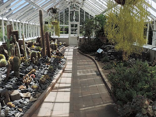 ウィンターガーデン・グラスハウス, オタゴ地方ダニーデン、ダニーデン植物園 — Dunedin Botanic Garden. Glasshouse