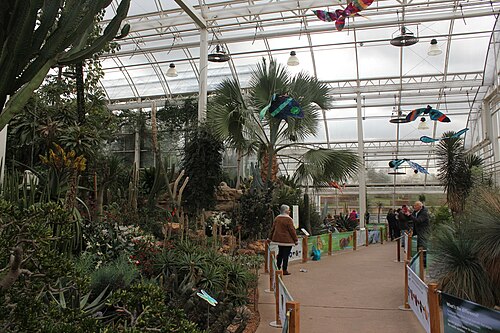 RHSウィズリー・ガーデンの温室(バイセンテナリー・グラスハウス), ウィズリー、サリー — Glasshouse at RHS Wisley
