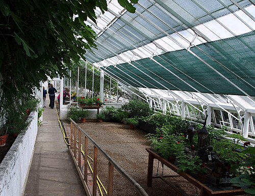 The Glasshouse, Walled Kitchen Garden de Clumber Park, Clumber Park, près de Worksop (Nottinghamshire) — Glasshouse, Clumber Park, Notts.