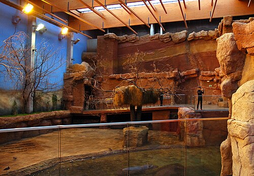 Afrykarium, Zoo Wrocław (Afrykarium-Oceanarium), Wrocław, Niederschlesien — Zoo we Wrocławiu