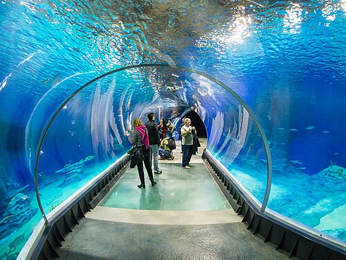 Afrykarium, Zoo Wrocław (Afrykarium-Oceanarium), Wrocław, Niederschlesien — Afrykarium we Wrocławiu