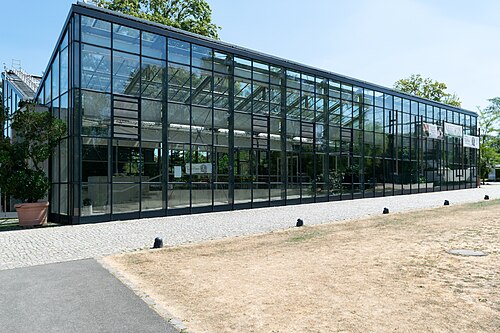 ヴッパータール植物園の大温室（Großes Glashaus）とテーマ温室, ヴッパータール（エルバーフェルト、ハルト）、ノルトライン＝ヴェストファーレン州 — Elisenhöhe, Wuppertal