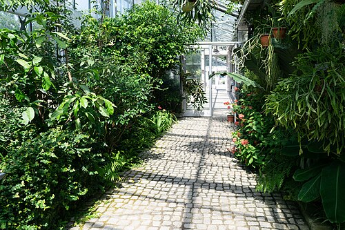 ヴッパータール植物園の大温室（Großes Glashaus）とテーマ温室, ヴッパータール（エルバーフェルト、ハルト）、ノルトライン＝ヴェストファーレン州 — ヴッパータール植物園の大温室（Großes Glashaus）とテーマ温室 — 5枚目