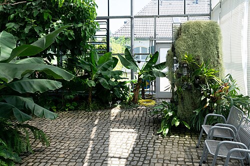 ヴッパータール植物園の大温室（Großes Glashaus）とテーマ温室, ヴッパータール（エルバーフェルト、ハルト）、ノルトライン＝ヴェストファーレン州 — ヴッパータール植物園の大温室（Großes Glashaus）とテーマ温室 — 6枚目