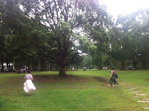 夢の島熱帯植物館, 東京都江東区 — 夢の島熱帯植物館 — 2枚目