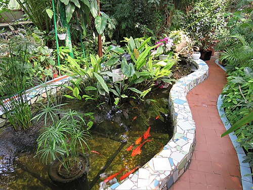 Gewächshäuser des Städtischen Botanischen Gartens für Kinder in Saporischschja (Tropicana, Wintergarten, Cactusarium), Saporischschja, Oblast Saporischschja — Gewächshäuser des Städtischen Botanischen Gartens für Kinder in Saporischschja — Ansicht 2