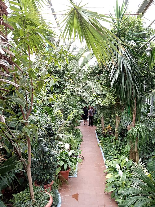 Gewächshäuser des Städtischen Botanischen Gartens für Kinder in Saporischschja (Tropicana, Wintergarten, Cactusarium), Saporischschja, Oblast Saporischschja — Gewächshäuser des Städtischen Botanischen Gartens für Kinder in Saporischschja — Ansicht 3