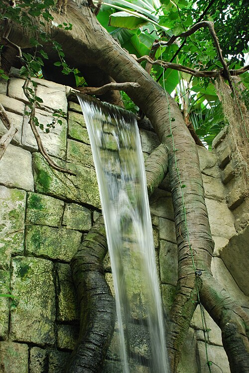ズリーン動物園のユカタン熱帯ホール（Tropická hala Yucatan）, ズリーン州ズリーン（レシュナ） — Tropická hala Yucatan