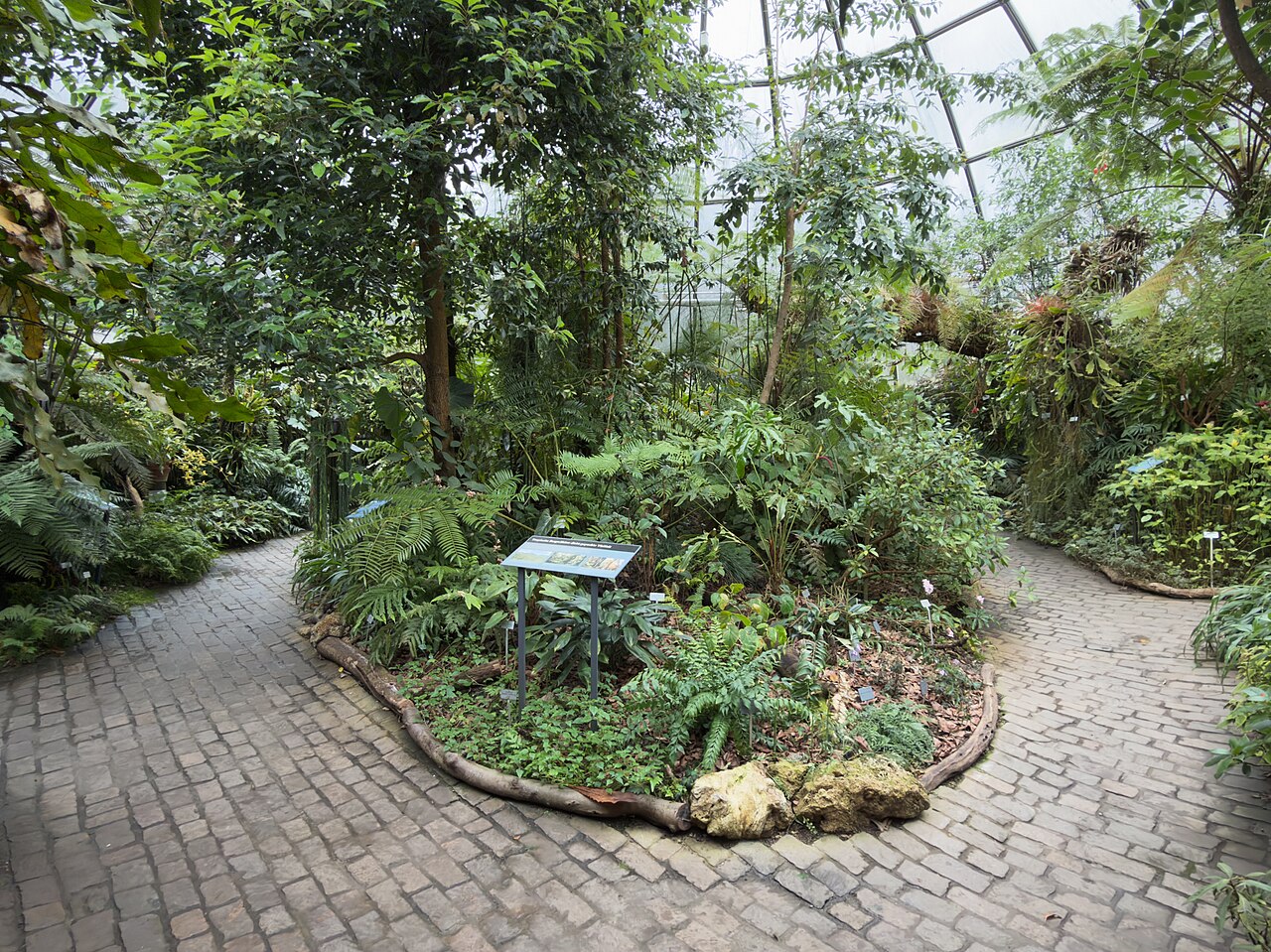 Tropenkuppeln des Botanischen Gartens der Universität Zürich, Zürich, Kanton Zürich — photo 2