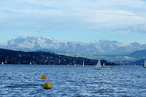Sukkulenten-Sammlung Zürich (collection de plantes succulentes), Zurich, canton de Zurich — Glarner Alpen , Schindellegi and Zürichsee , as seen from Strandbad Mythenquai in…