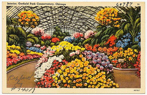 Garfield Park Conservatory, Chicago