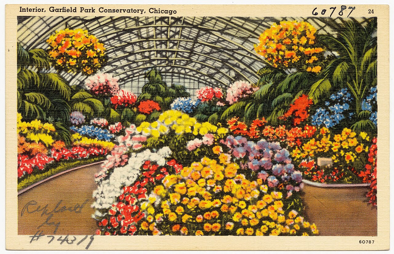 Garfield Park Conservatory, Chicago