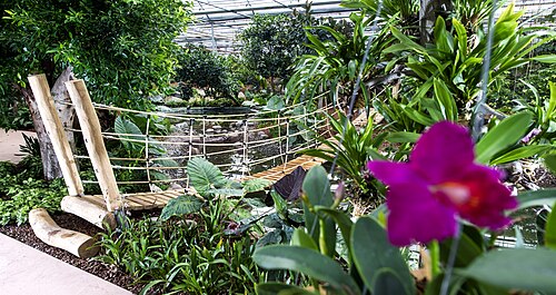 Raffeiner Orchideenwelt (Orchideengewächshäuser, Schmetterlingshaus und Orangerie), Gargazon / Gargazzone (Provinz Bozen), Südtirol