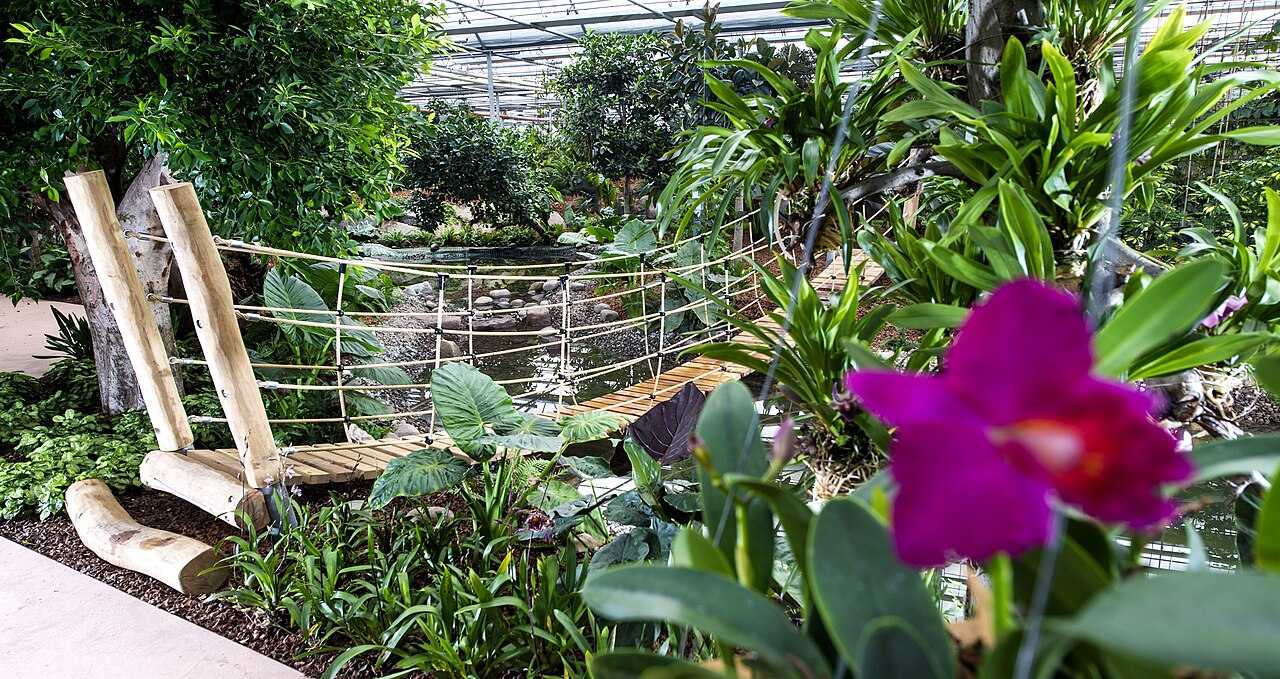 Raffeiner Orchideenwelt (Orchideengewächshäuser, Schmetterlingshaus und Orangerie), Gargazon / Gargazzone (Provinz Bozen), Südtirol