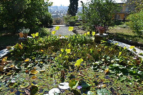 Serres de l'Orto botanico de l'université de Gênes (Hanbury), Gênes, Ligurie