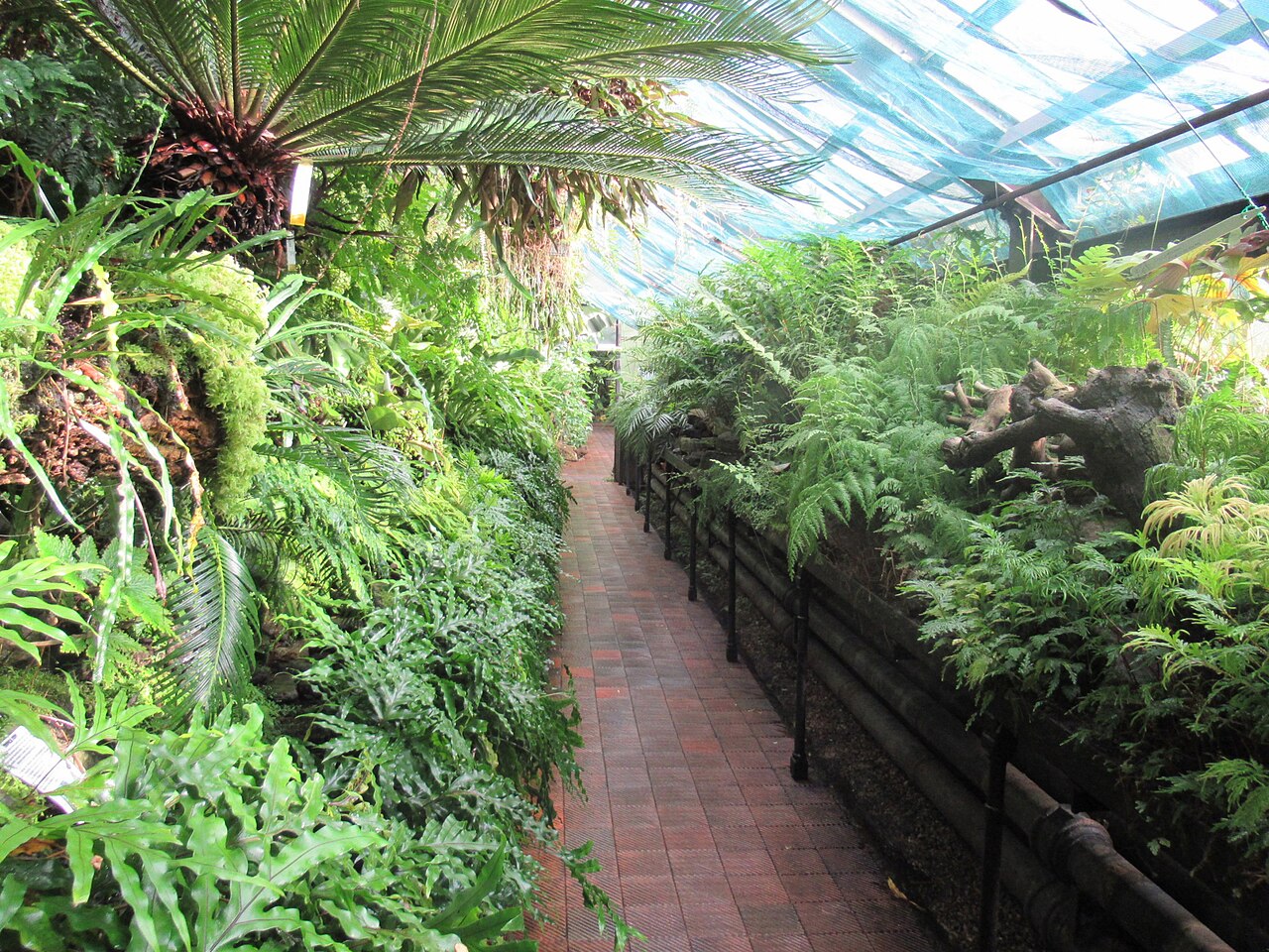 Main Range, grandes serres du jardin botanique de Glasgow, Glasgow, Écosse