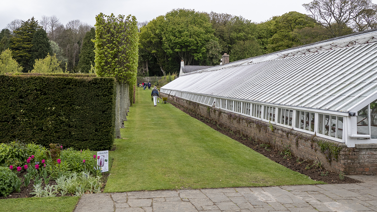 Viktorianisches Gewächshaus, Glenarm Castle Walled Garden, Glenarm, County Antrim, Nordirland
