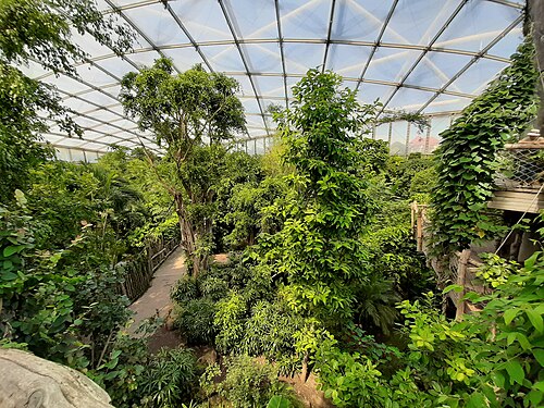 Gondwanaland, Zoo Leipzig, Leipzig, Sachsen