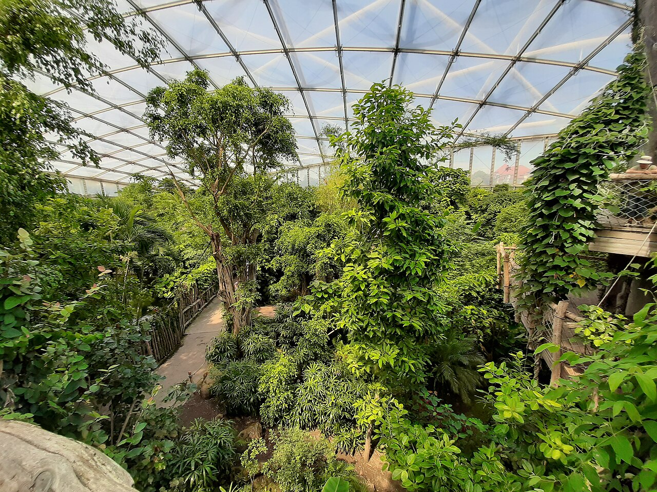 Gondwanaland, Zoo Leipzig, Leipzig, Sachsen