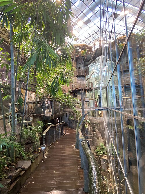 Universeum (Regenwald Regnskogen), Göteborg