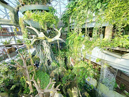 The Green Planet, City Walk, Dubaï