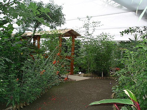 Butterfly Garden (Jardin des Papillons), Grevenmacher, Grevenmacher, Canton of Grevenmacher