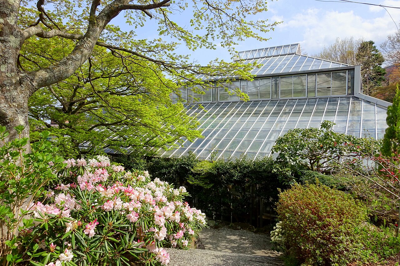 Tropische Gewächshäuser im Gōra-Park (箱根強羅公園 熱帯植物館), Hakone, Präfektur Kanagawa