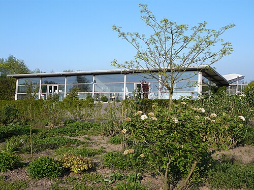 Vlinderparadijs Papiliorama (tropisches Schmetterlingsgewächshaus von Havelte), Havelte (Westerveld)
