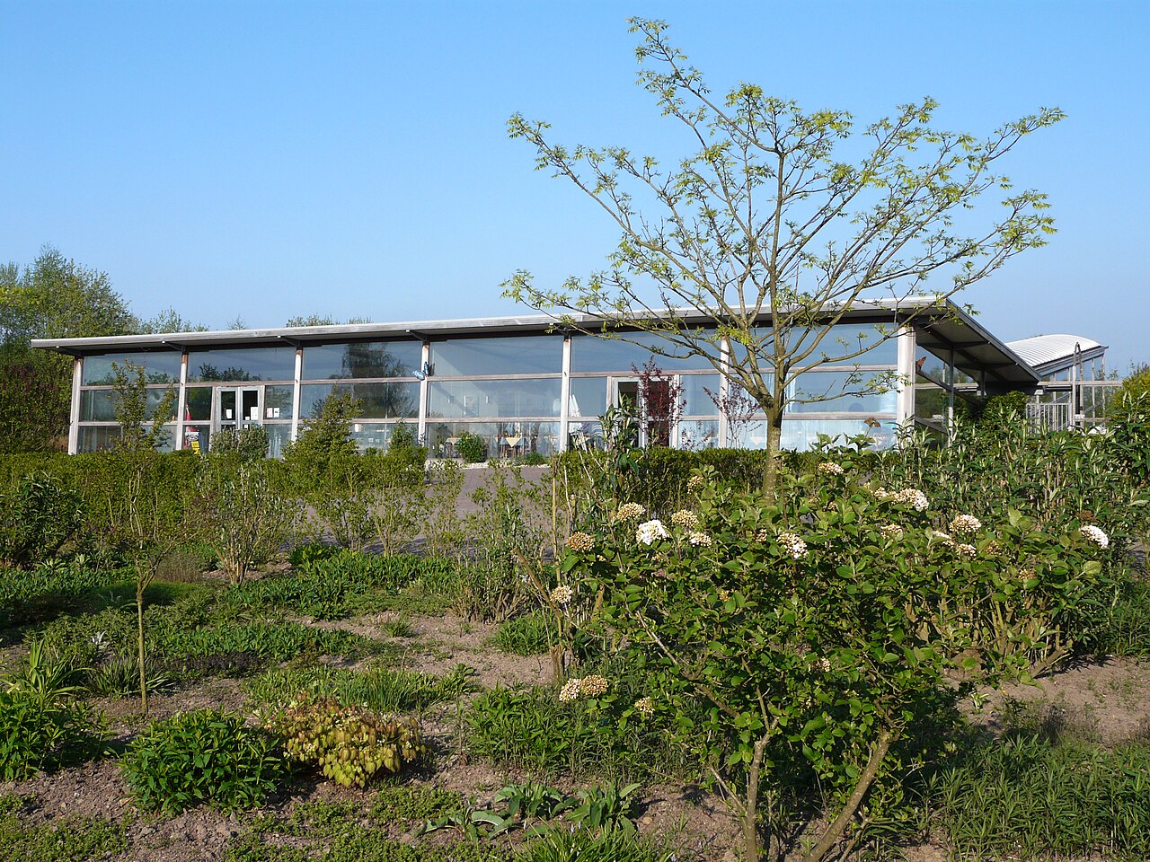 Vlinderparadijs Papiliorama (tropisches Schmetterlingsgewächshaus von Havelte), Havelte (Westerveld), Drenthe