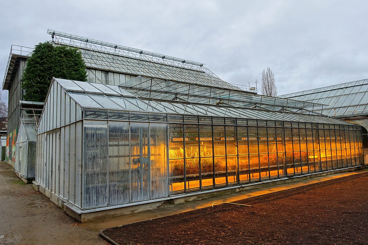 Schauhäuser des Botanischen Gartens der Universität Heidelberg, Heidelberg (Neuenheimer Feld), Baden-Württemberg