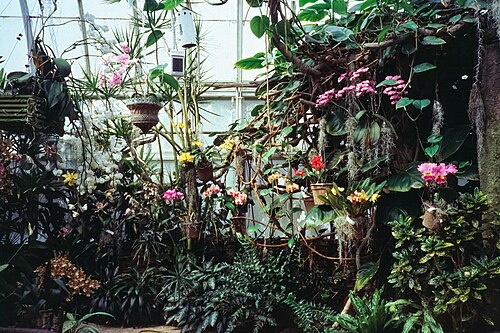 Orchid Range, Duke Farms, Hillsborough, New Jersey