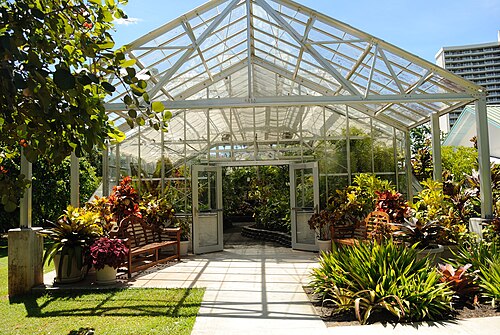 Orchid Conservatory, Foster Botanical Garden, Honolulu, Oʻahu (Hawaii)