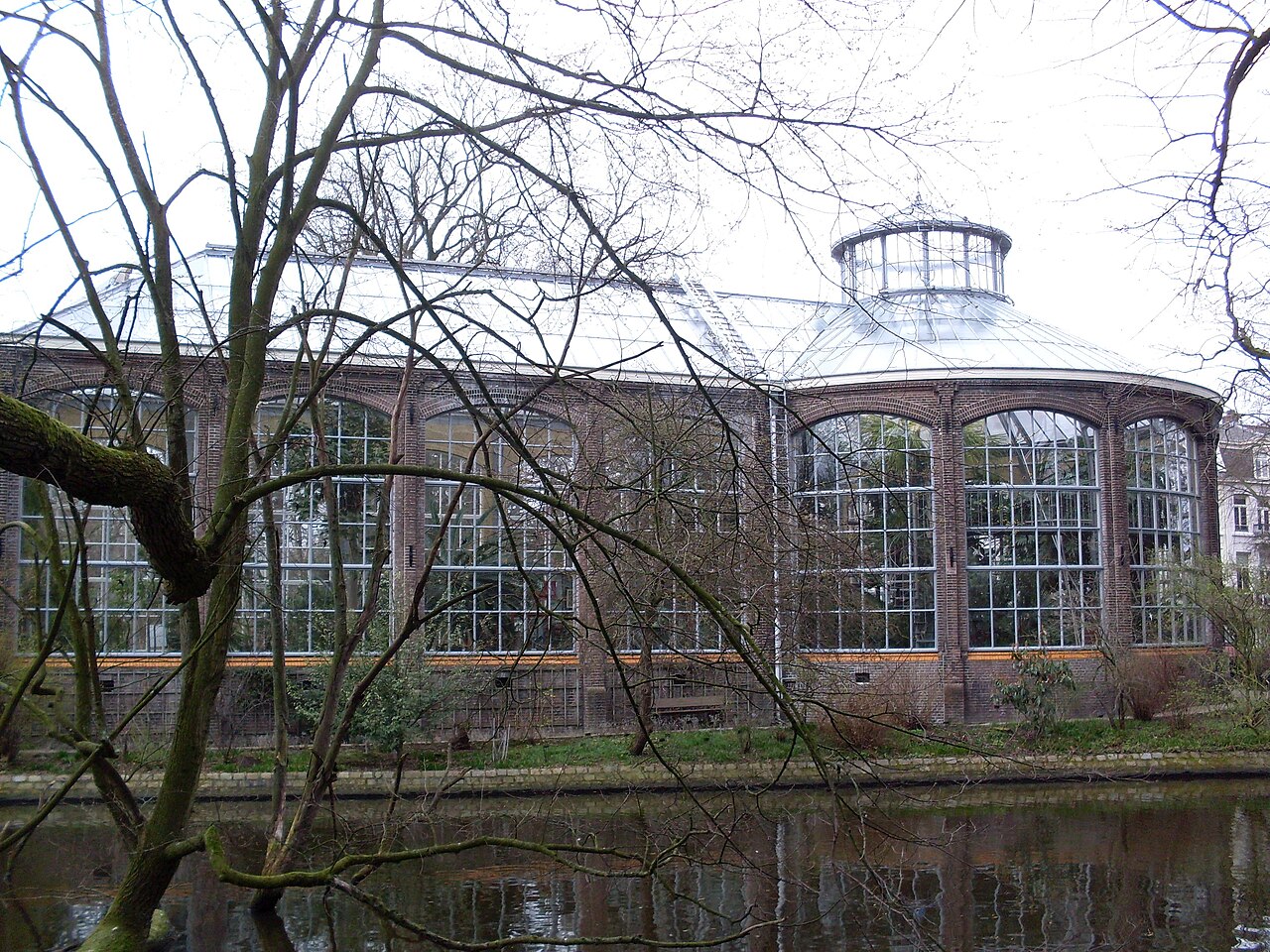 Palmenkas (Hortus Botanicus Amsterdam), Amsterdam