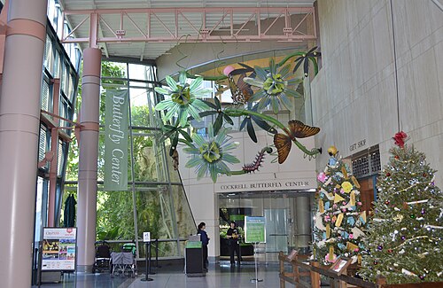 Cockrell Butterfly Center (Houston Museum of Natural Science), Houston, Texas